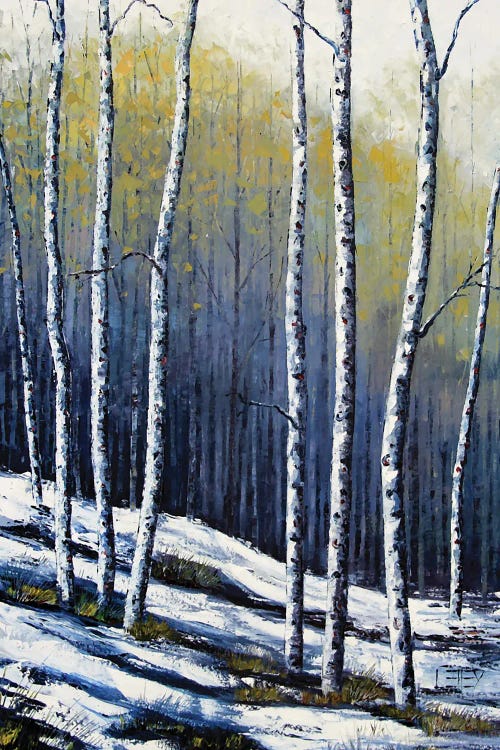 Winter Birch