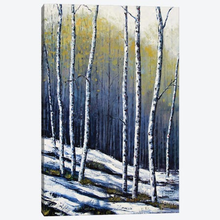 Winter Birch Canvas Print #LEL798} by Lisa Elley Canvas Artwork