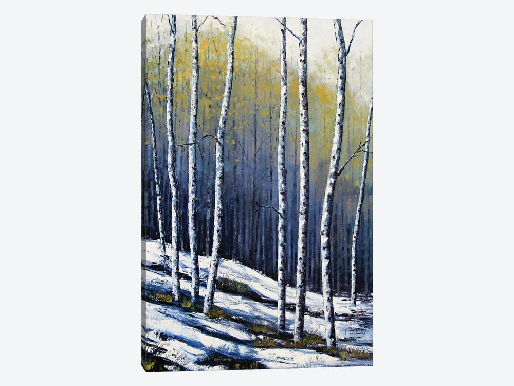 Winter Birch by Lisa Elley 1-piece Canvas Art Print
