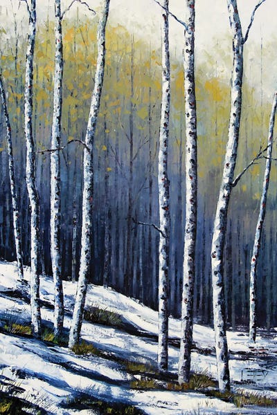 Birch Trees: Winter Birch by Lisa Elley