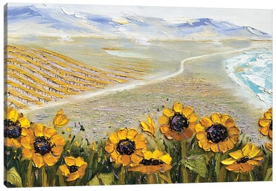 Over The Hills And Far Away Monterey Bay Sunflowers Canvas Art Print - Monterey