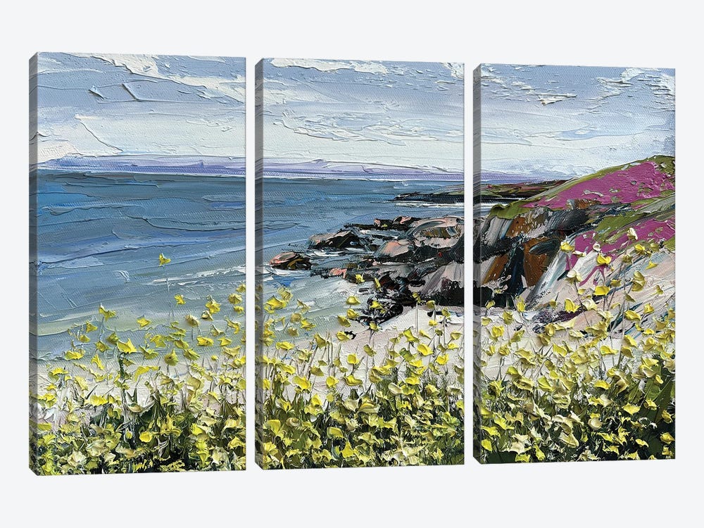 Wildflowers On The Coast by Lisa Elley 3-piece Art Print