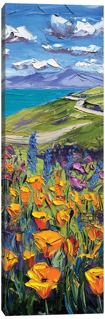 Spring Superbloom Canvas Art Print - California Art