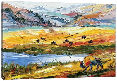 Colors Of Yellowstone Canvas Art Print - Bison & Buffalo Art
