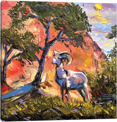 Mountain Goat At Zion National Park Canvas Art Print - Goat Art