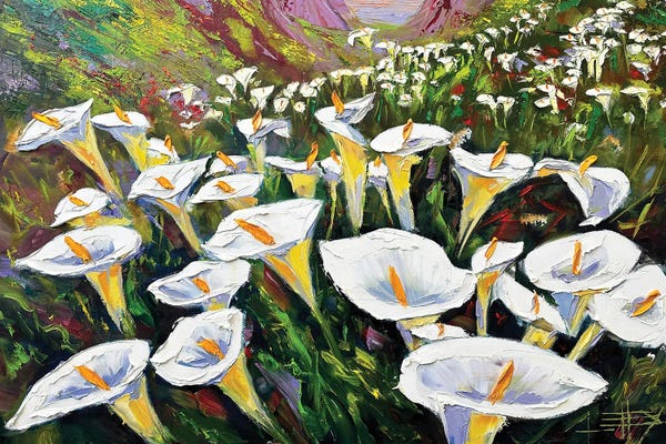 Calla Lilies: Lily Serenade by Lisa Elley