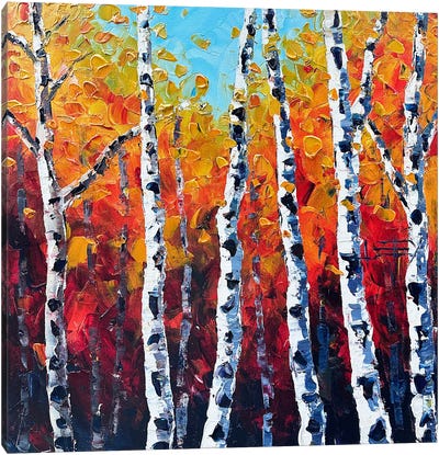 Autumn Embrace Canvas Art Print - Aspen and Birch Trees