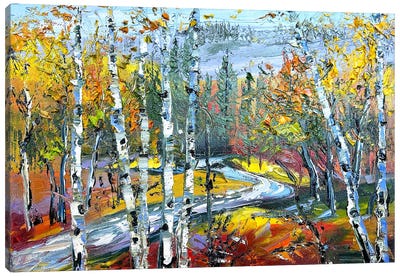 Colorful Symphony Canvas Art Print - Aspen and Birch Trees