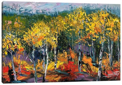Fall Serenity Canvas Art Print - Aspen and Birch Trees