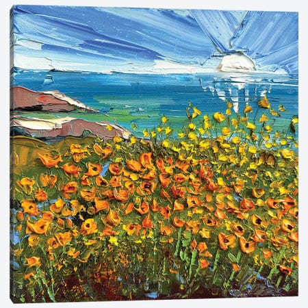 Poppy Coast Canvas Print #LEL846} by Lisa Elley Art Print