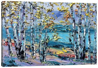 Autumn Dream Fall Trees Canvas Art Print - Aspen Tree Art