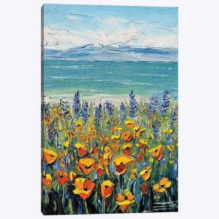 Coastal Poppy Bloom Canvas Print #LEL853} by Lisa Elley Canvas Print