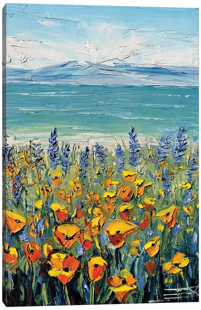 Coastal Poppy Bloom Canvas Art Print - Ocean Art