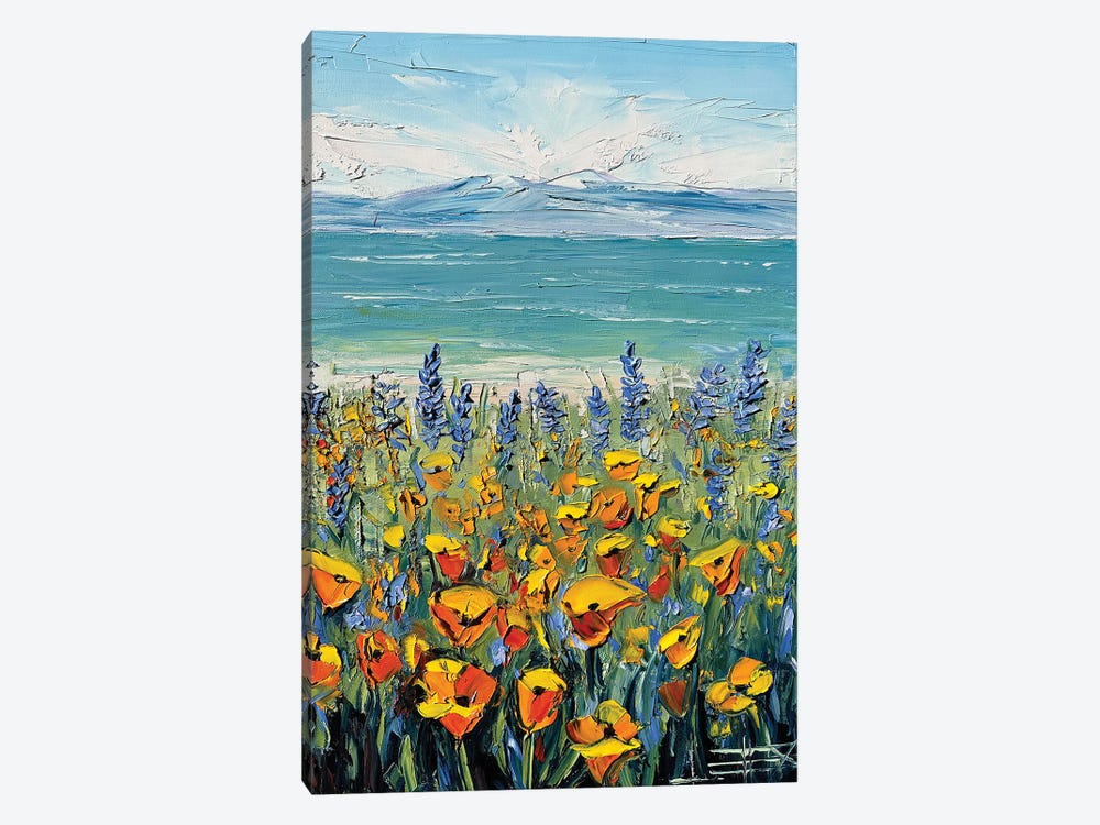 Coastal Poppy Bloom by Lisa Elley 1-piece Canvas Wall Art