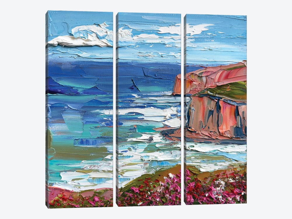 Colorful Coastal Cliffs by Lisa Elley 3-piece Art Print