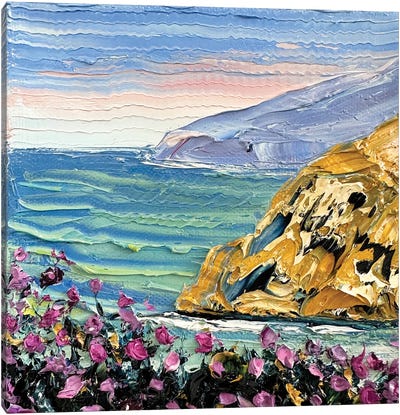 Pacific Coast Canvas Art Print - Lisa Elley