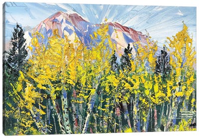 Aspen Serenity Canvas Art Print - Aspen Tree Art