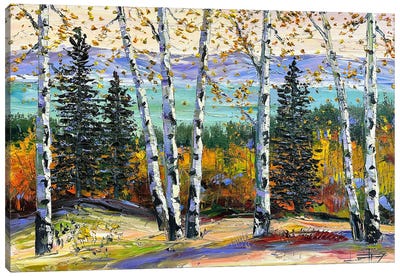 Enlightenment Canvas Art Print - Aspen and Birch Trees