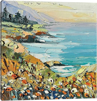 Misty Coast Canvas Art Print - Coastline Art