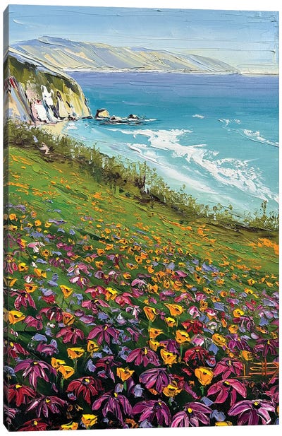 Bliss On The Coast Canvas Art Print - Cliff Art