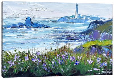 The Slow Coast Canvas Art Print - Lisa Elley
