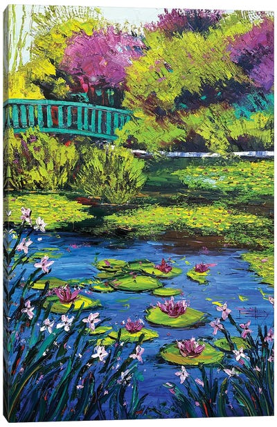 Waterlily Garden Canvas Art Print - Lisa Elley