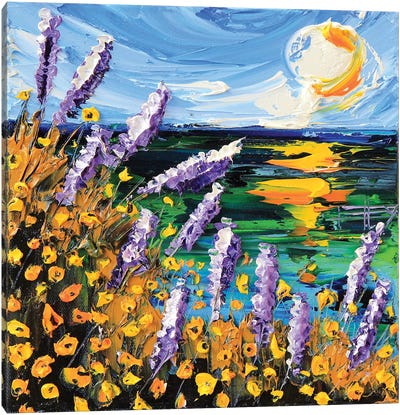 Monterey Bay Lupine Canvas Art Print - Lisa Elley