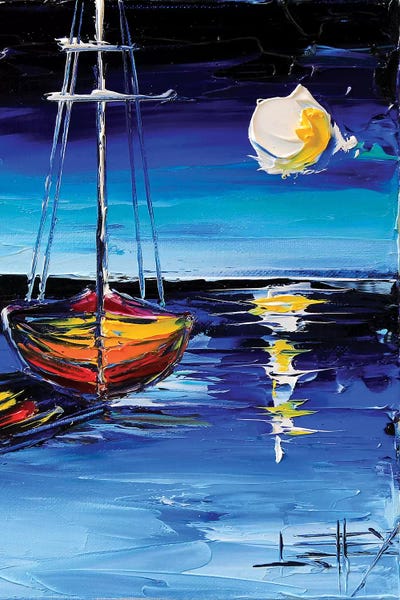 Moonlit Dream by Lisa Elley canvas print