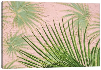 Areca palm in front of painter palm mural, USA Canvas Art Print