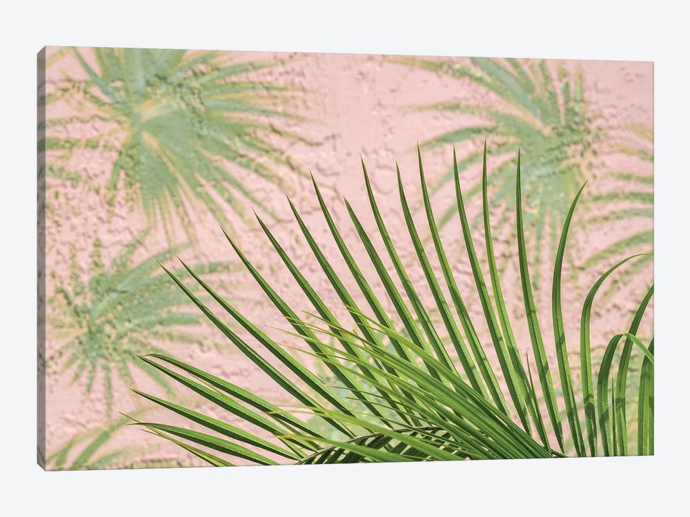 Areca palm in front of painter palm mural, USA by Lisa S. Engelbrecht 1-piece Canvas Art Print