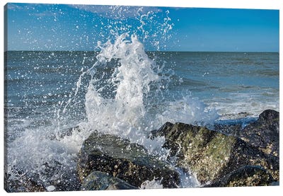 Waves crashing on rocks, Honeymoon Island State Park, Dunedin, Florida, USA Canvas Art Print