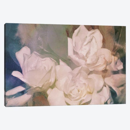 Blush Gardenia Beauty II Canvas Print #LER83} by Sharon Chandler Canvas Artwork