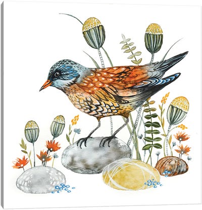 Golden Bird Canvas Art Print - Lesia Binkin