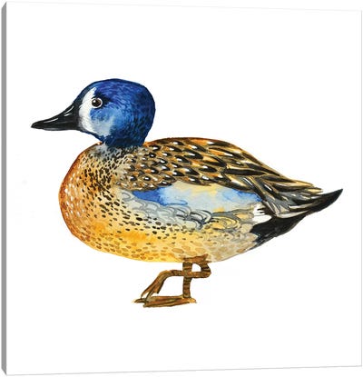 Golden Duck Canvas Art Print - Lesia Binkin