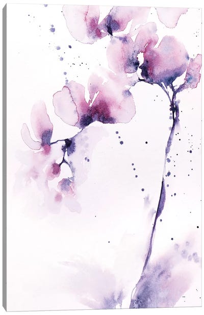 Orchids Canvas Art Print - Rose Quartz & Serenity