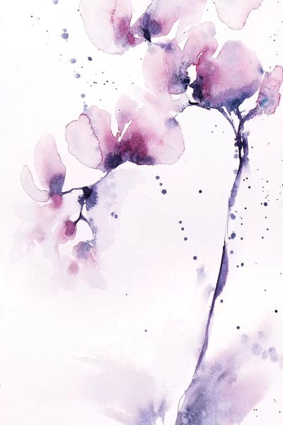 2016 | Rose Quartz & Serenity: Orchids by Lesia Binkin