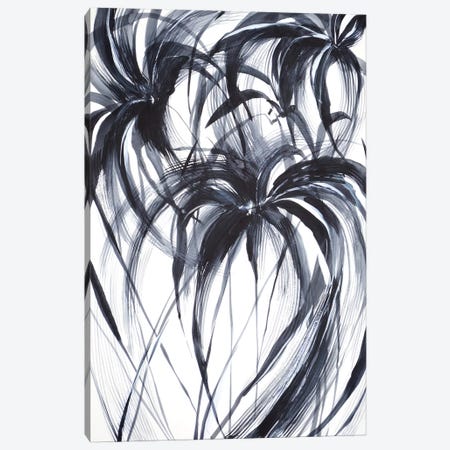 Palms Canvas Print #LES127} by Lesia Binkin Canvas Print
