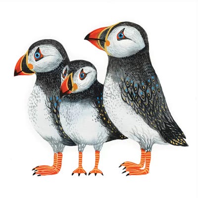 Puffins by Lesia Binkin framed canvas print