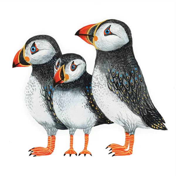 Puffins: Puffins by Lesia Binkin