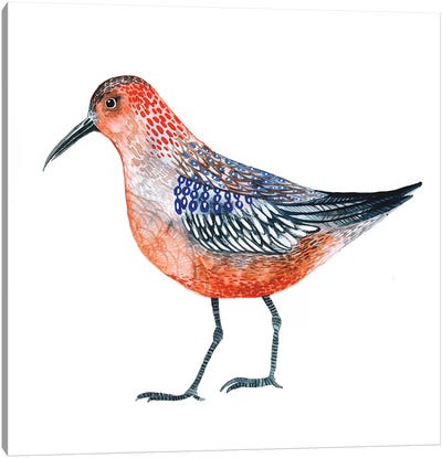 Red Bird Canvas Art Print - Nursery Room Art