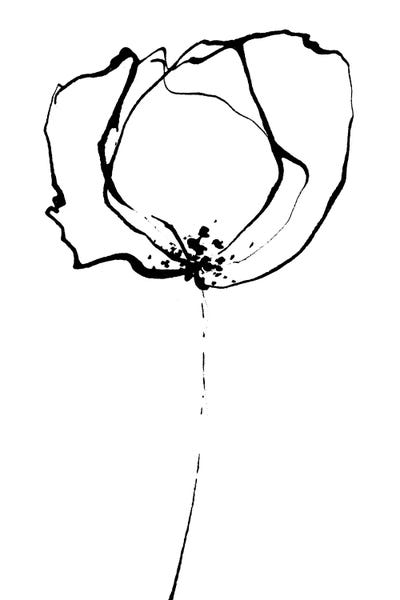 Black & White Florals: Clean Lines III by Lesia Binkin