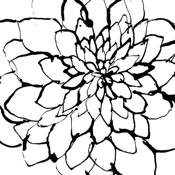 Black & White Florals: Gardens I by Lesia Binkin