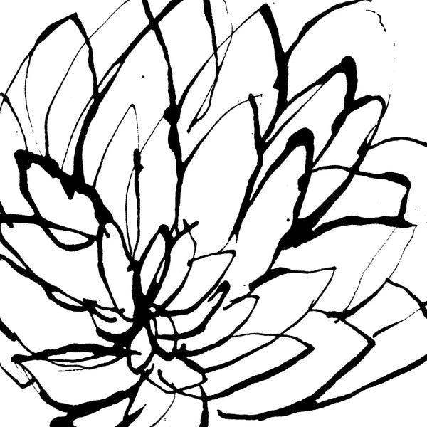 Black & White Minimalist Décor: Gardens II by Lesia Binkin