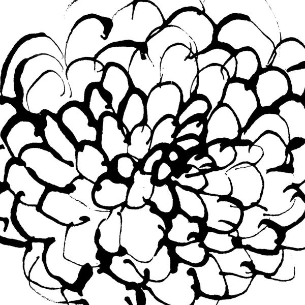 Black & White Florals: Gardens III by Lesia Binkin