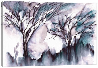 Morning Light Canvas Art Print - Lesia Binkin