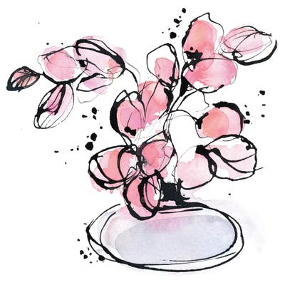 On My Window by Lesia Binkin framed wall art