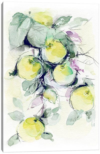 Golden Apples Canvas Art Print - Fruit Art