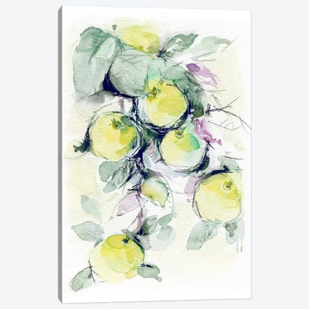 Golden Apples Canvas Print #LES43} by Lesia Binkin Art Print