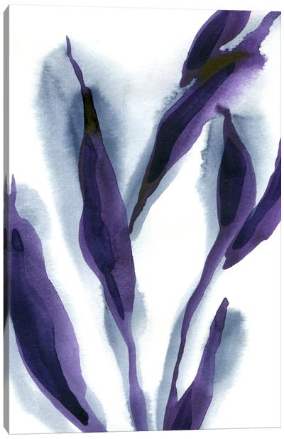 Leaves I Canvas Art Print - Lesia Binkin