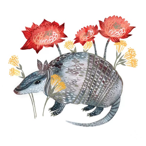 Armadillos: Armadillo by Lesia Binkin